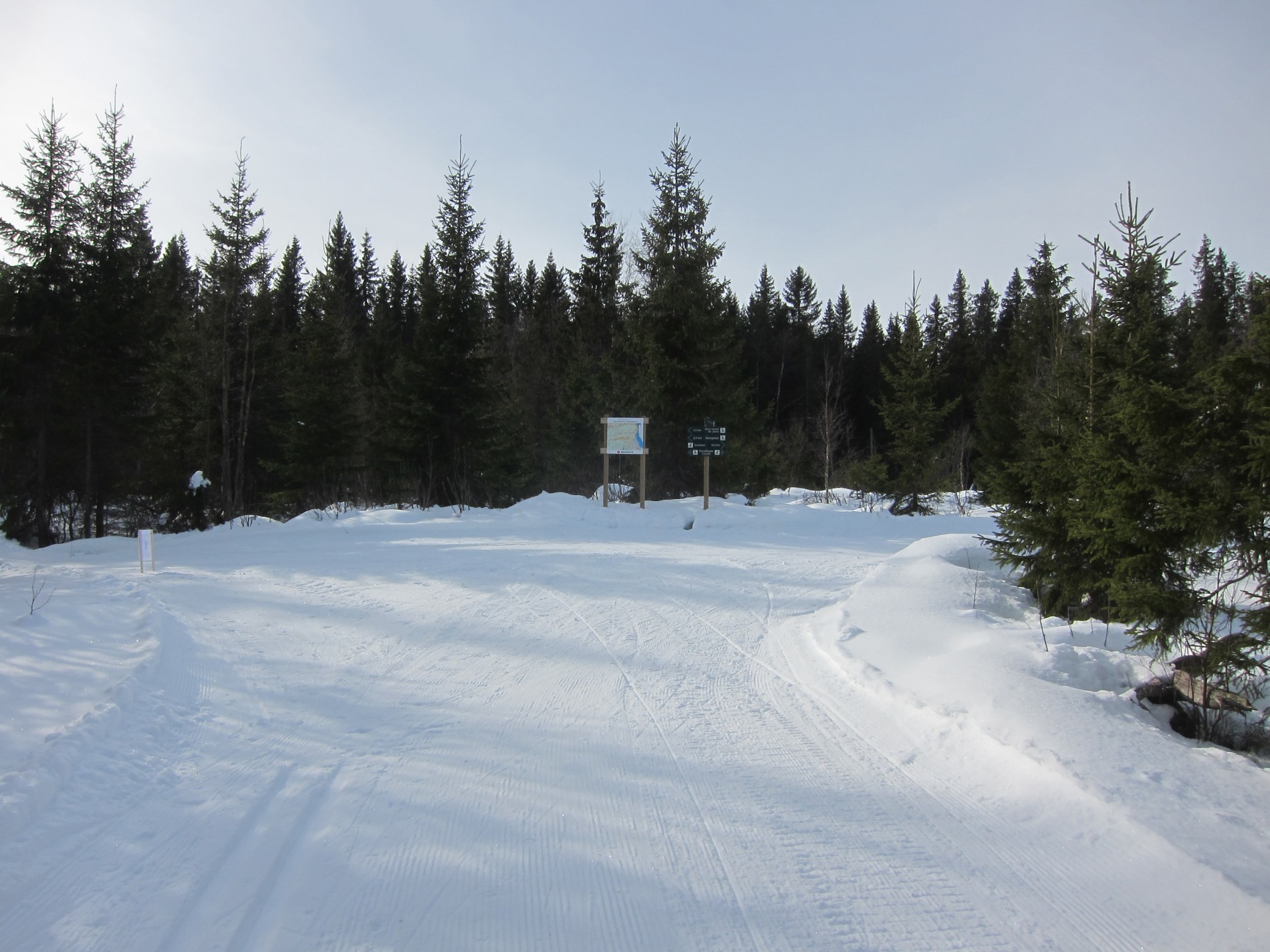 Venstre eller høyre ved Hornås