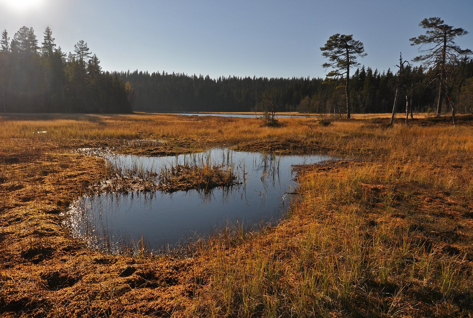 Vestre Møkkalitjern