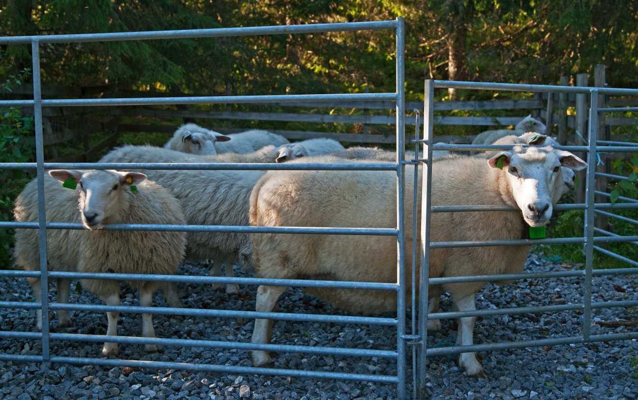 Vet de hva som venter?