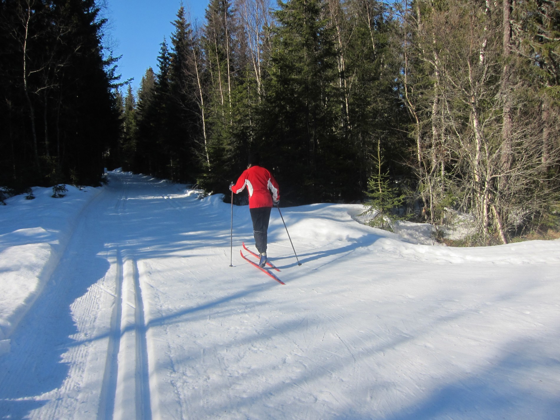 Videre fra Bukkhalsen til Stangstua