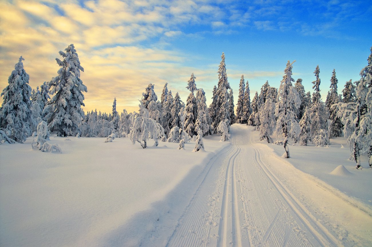 Vil du gå på ski her?