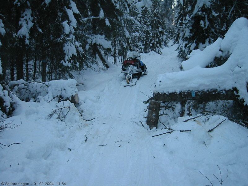 Vindfall i Djupdalen, #2 av 4