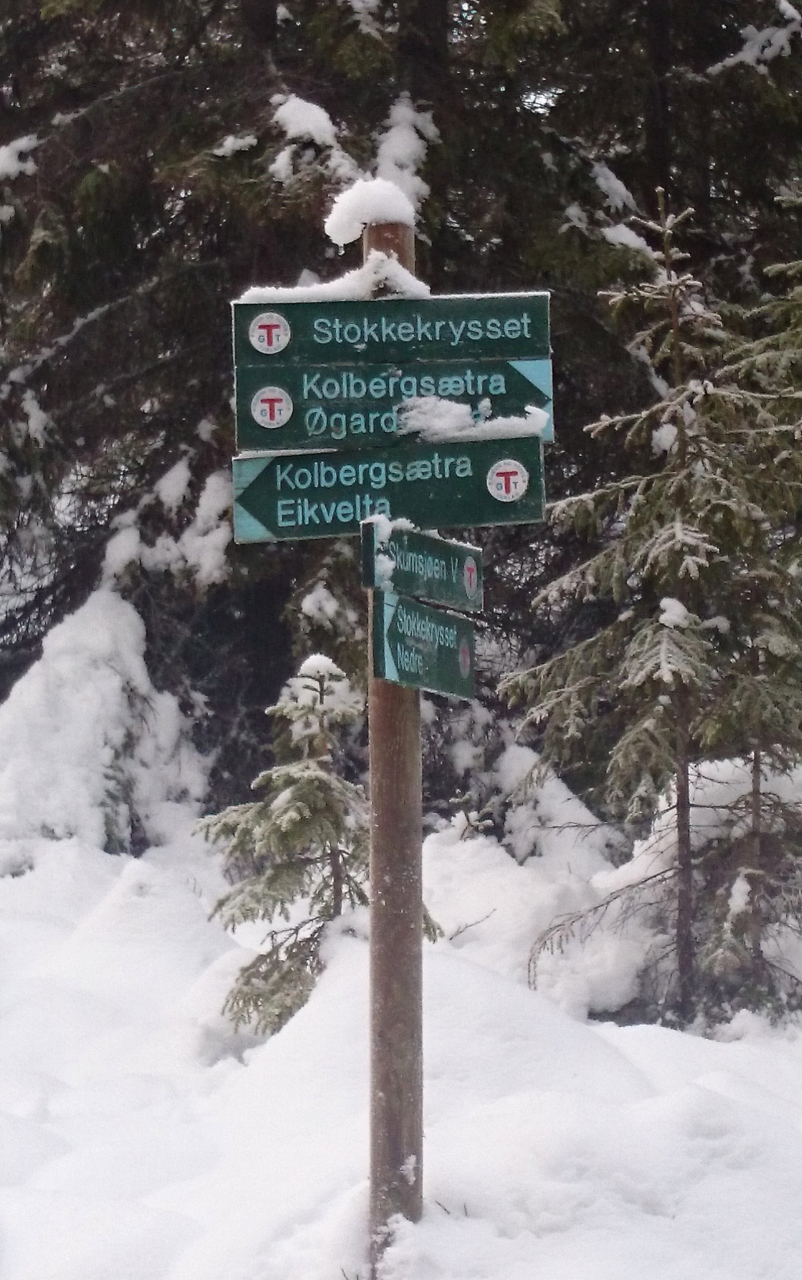 Vinter i Gjøvikmarka