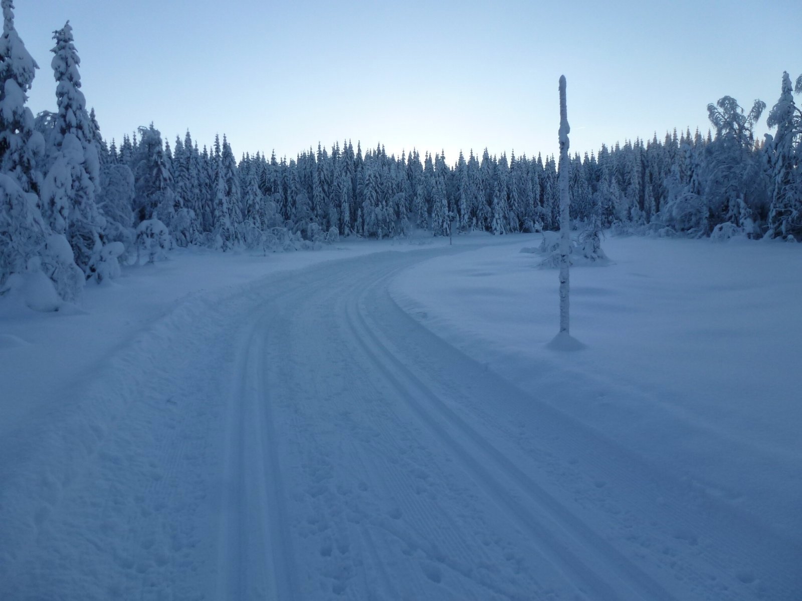 Vinter på Glåmene