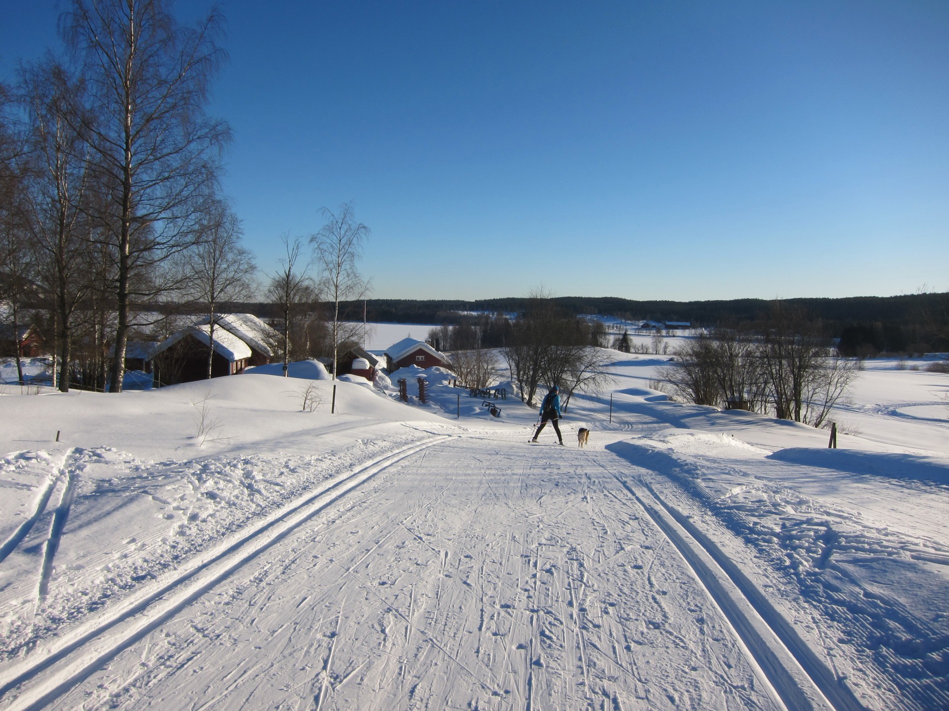 Vinterdag i Maridalen