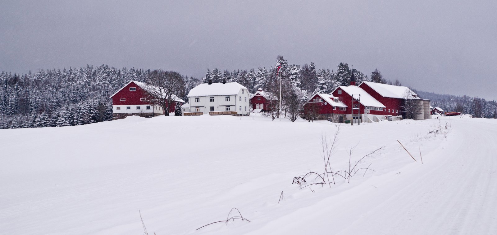 Vinterdag ved Rustad