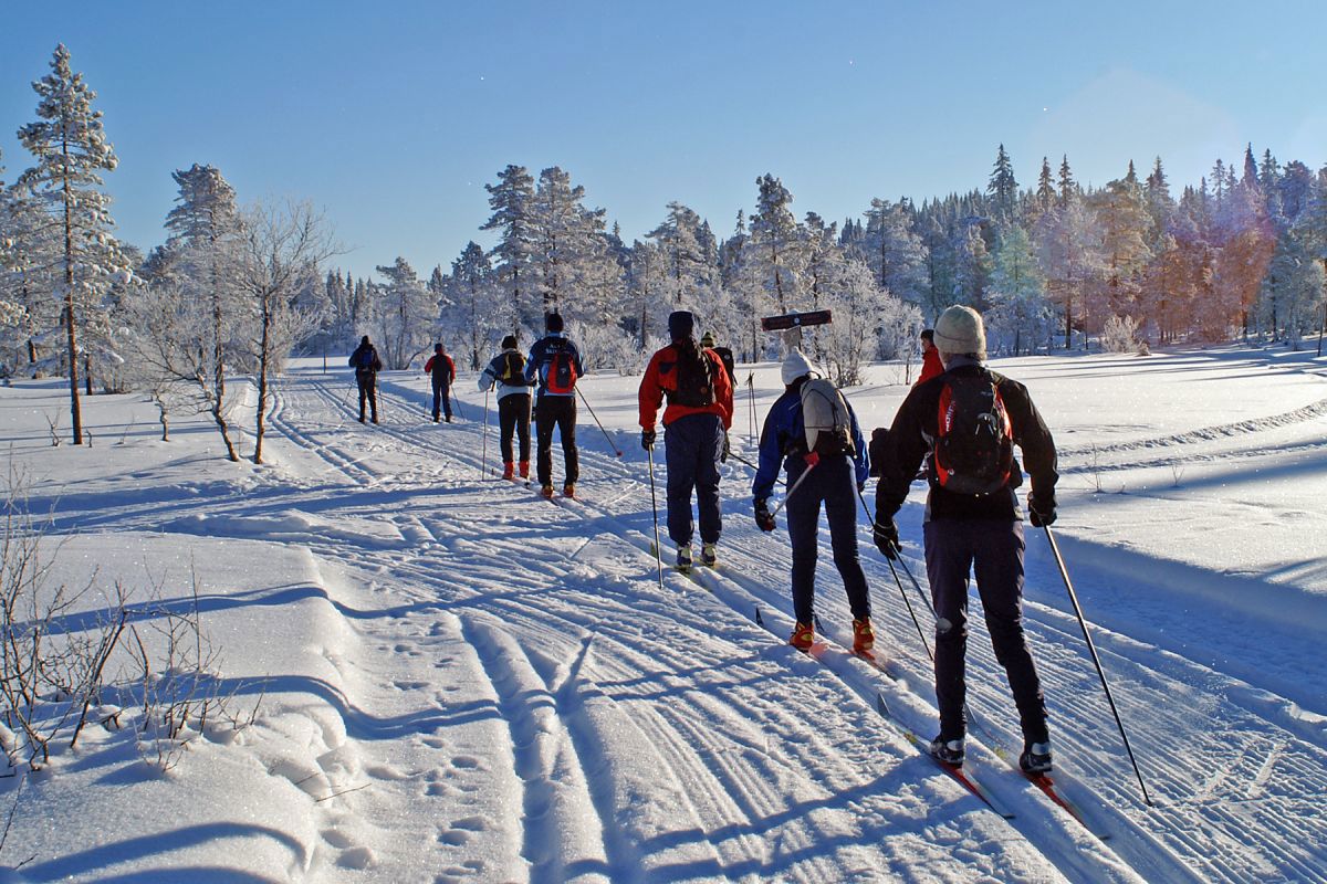 Vintereldorado på Ringkollen