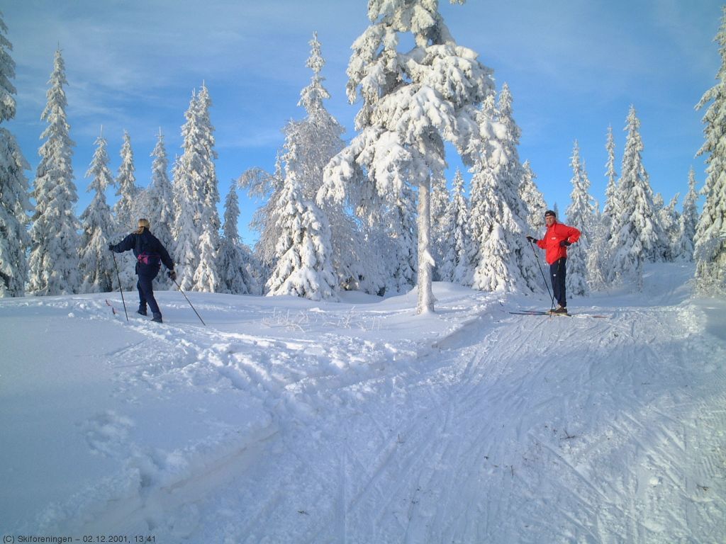 Vinteren er kommet til Ringkollen