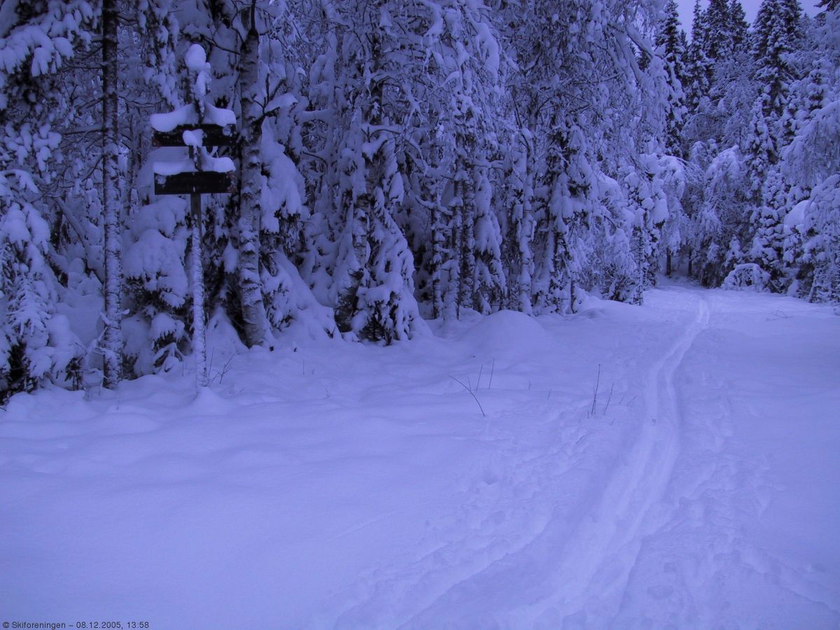 Vinteren kommet til Langmyr