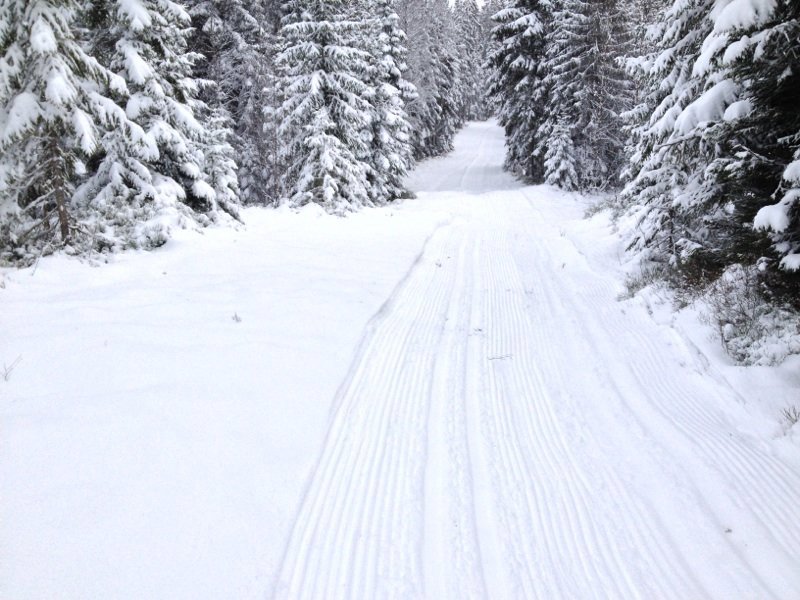 Vinterens første store snøfall i Nordmarka syd
