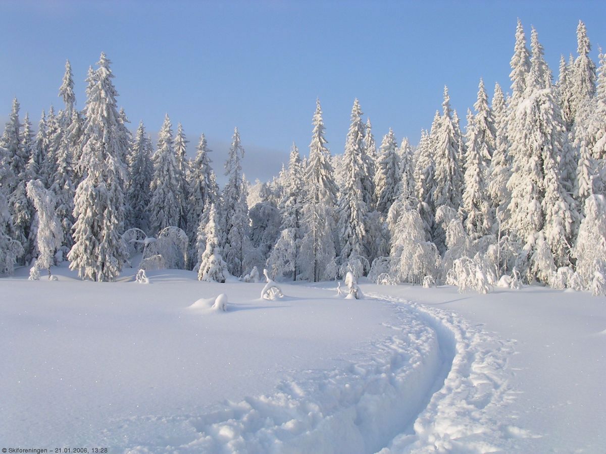 Vintereventyr på Bærumsmarkas tak