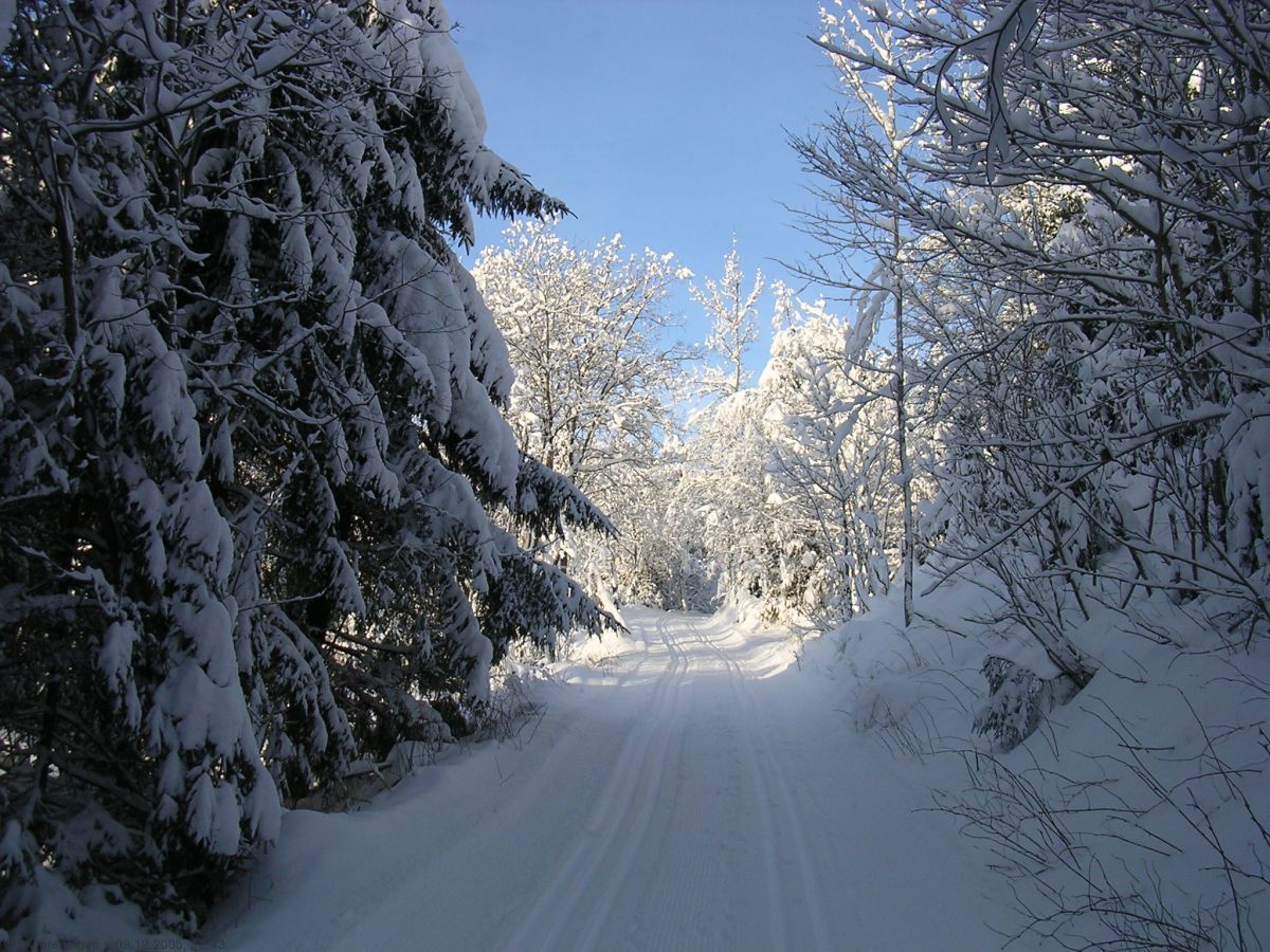 Vintereventyr på Heikampveien