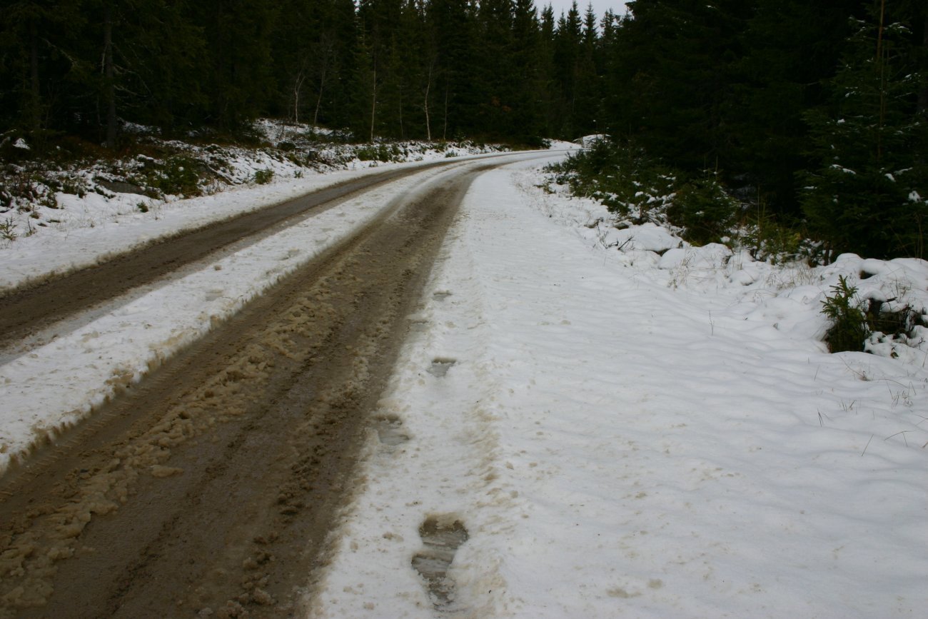 Vinterføre på Risbakkvegen