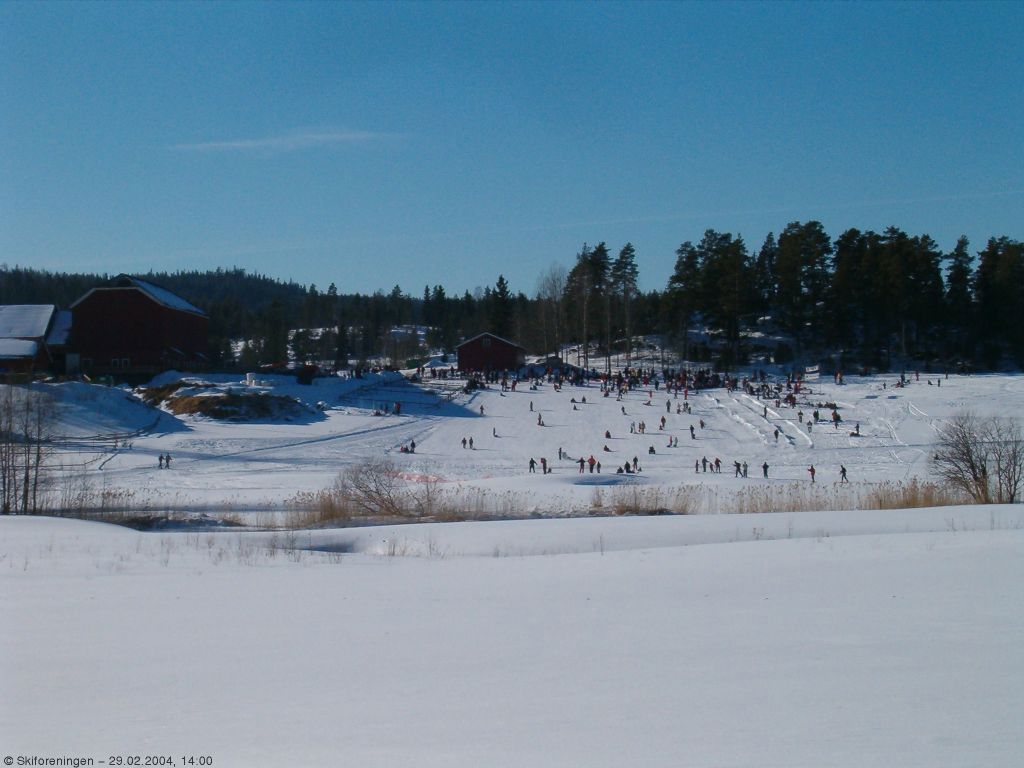 Vinterglede ved Losby