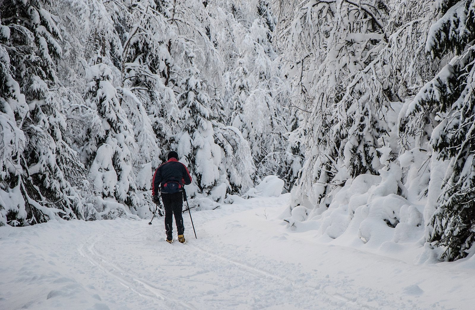 Vinteridyll på Minneåsen