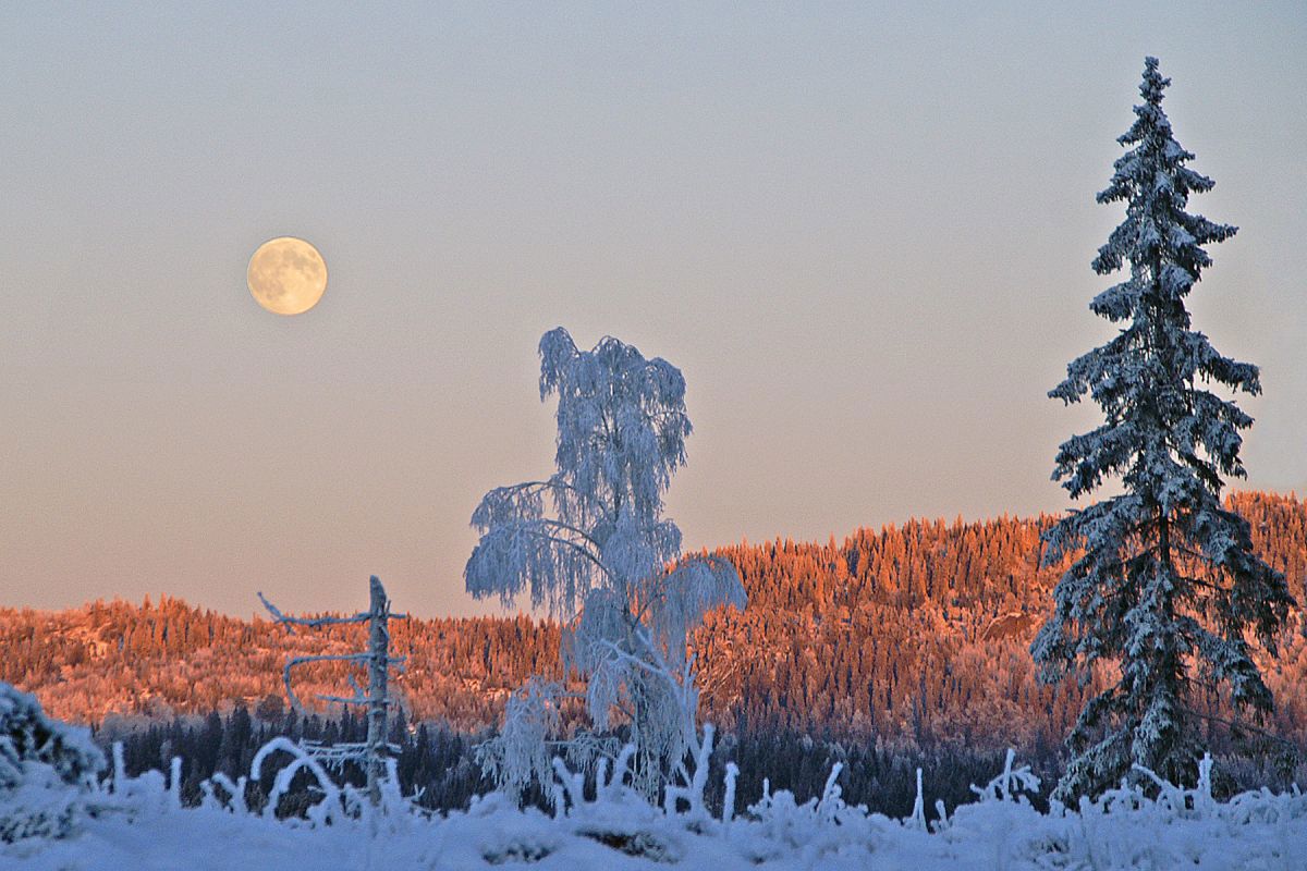 Vinterkveld ved Gråseterveien