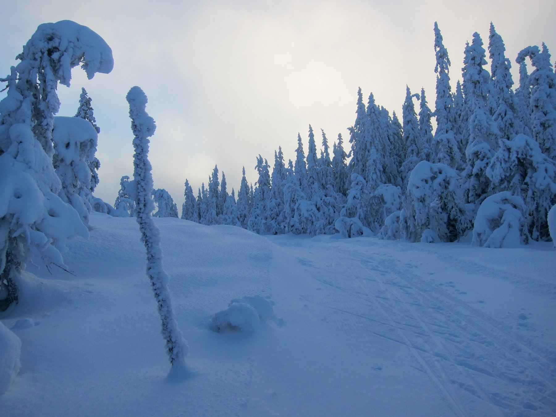 Vinterlandskap på Glåmhaugen