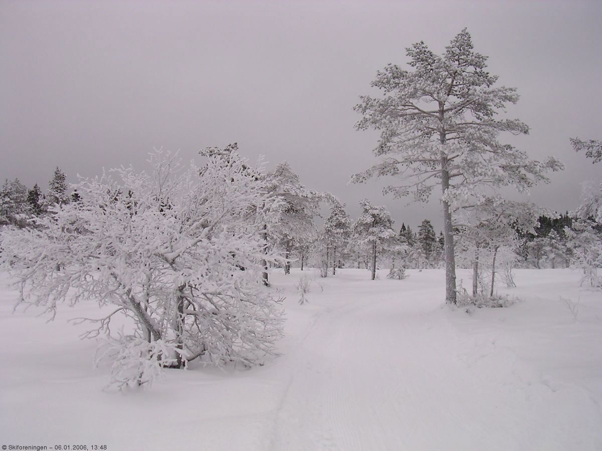 Vinterlandskap på myrene ved Torgeseterhøgda