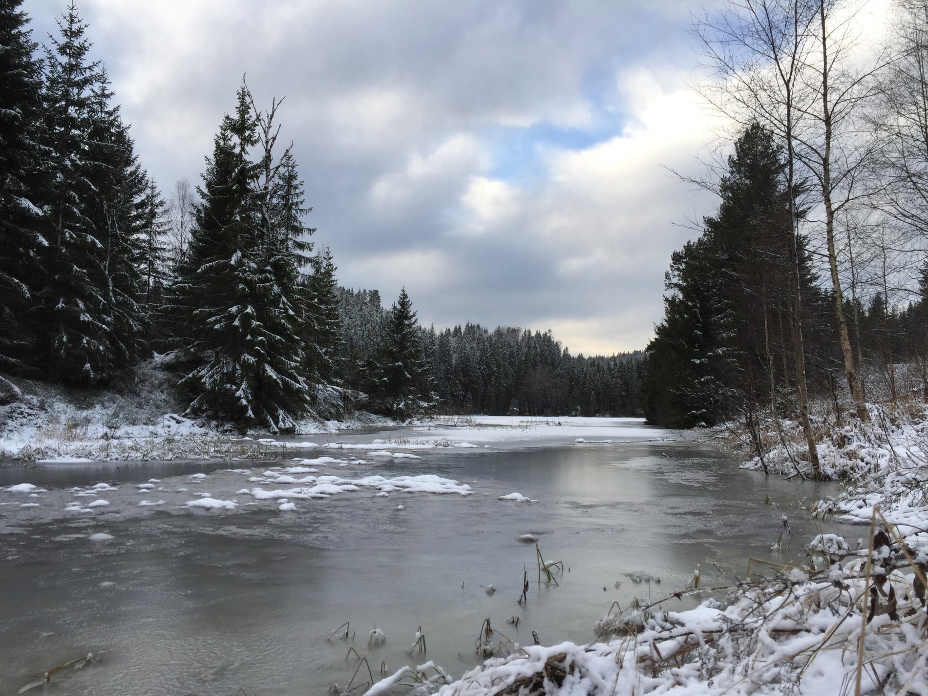 Vinterlig ved Fiskelausa