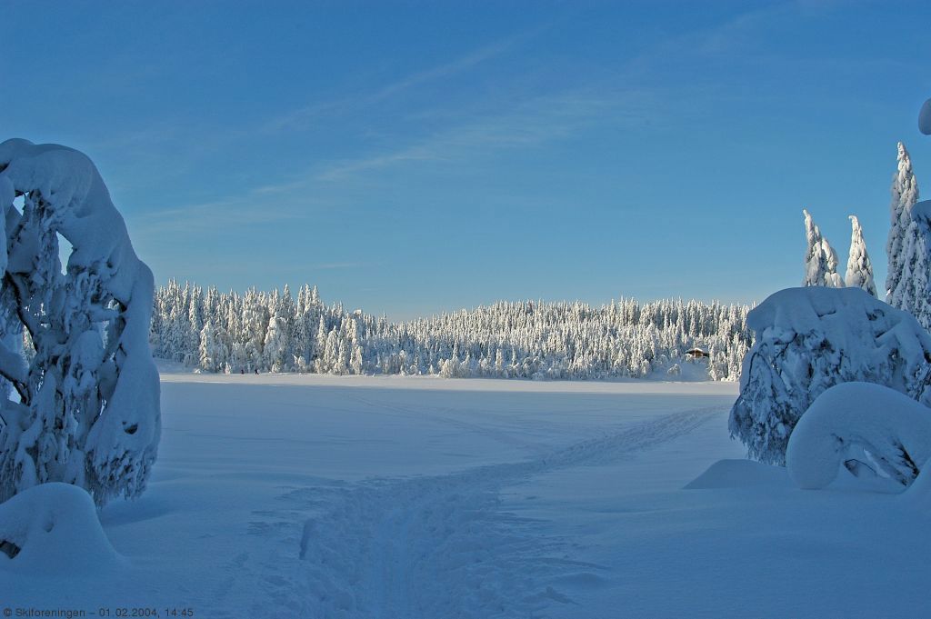 Vinterlig ved Sørskogen
