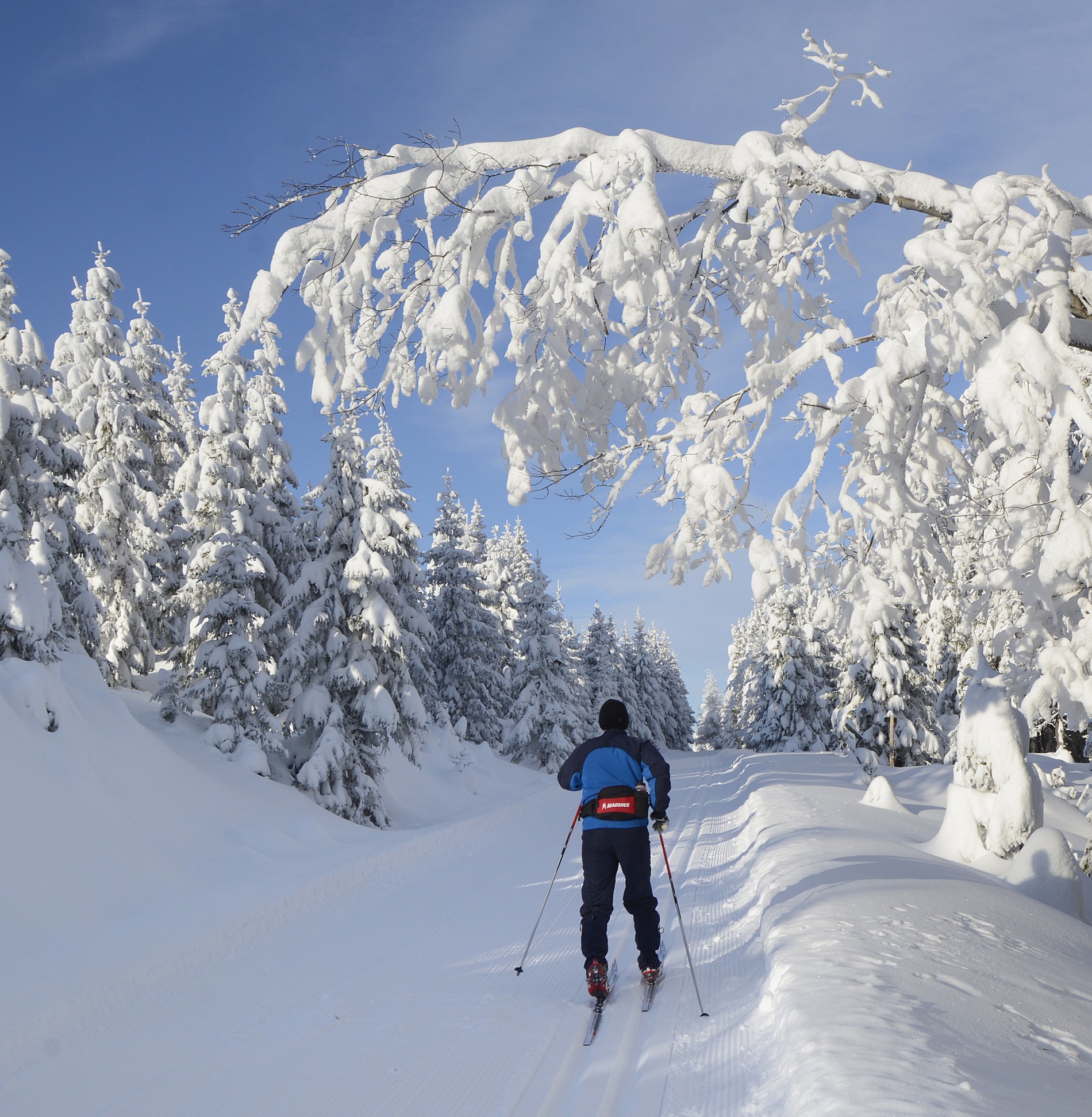 Vinterstemning i Koiedalen