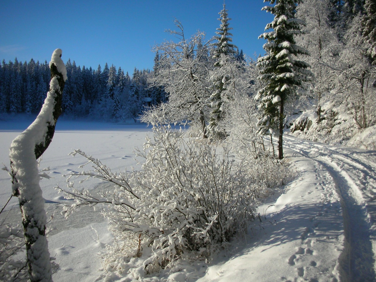 Vinterstemning ved Skjennungen