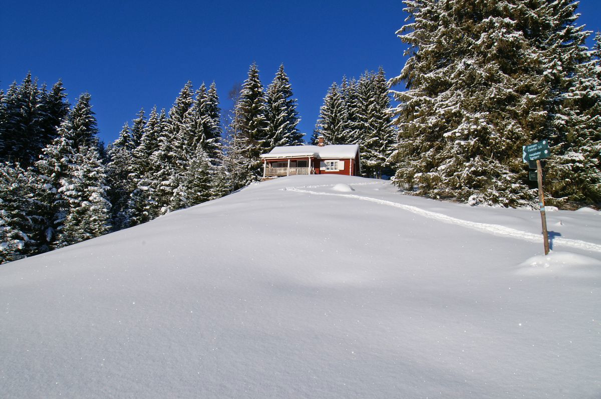 Vollen på Syljusetra