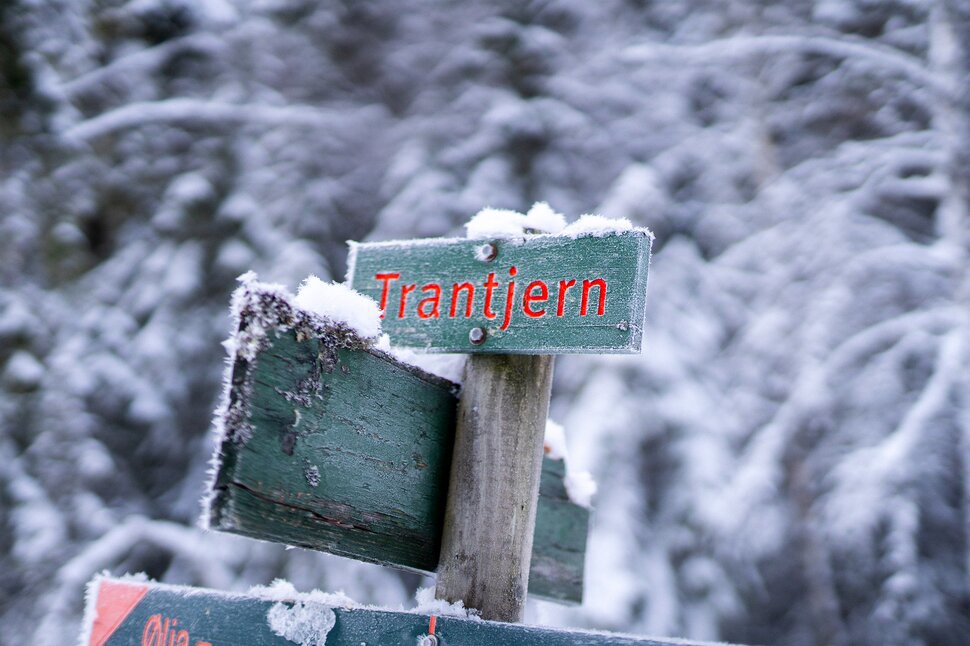 Mylla til Trantjern i Nordmarka nord