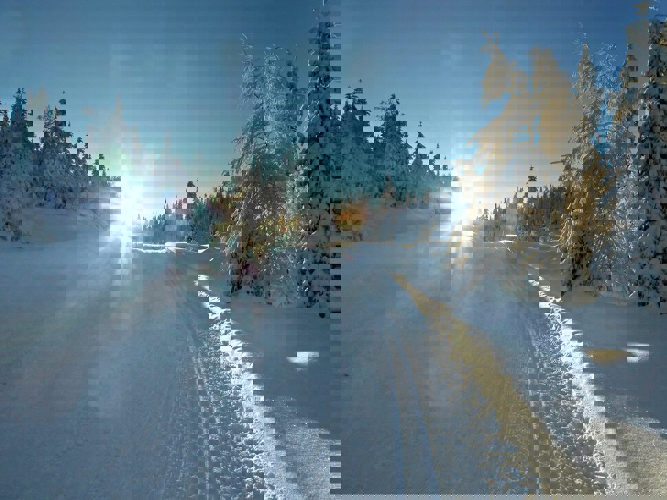 På vei mot Eikvelta