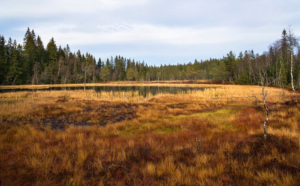 Mild november ved Vassputten