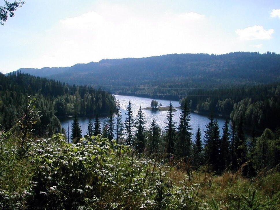Langlivannet