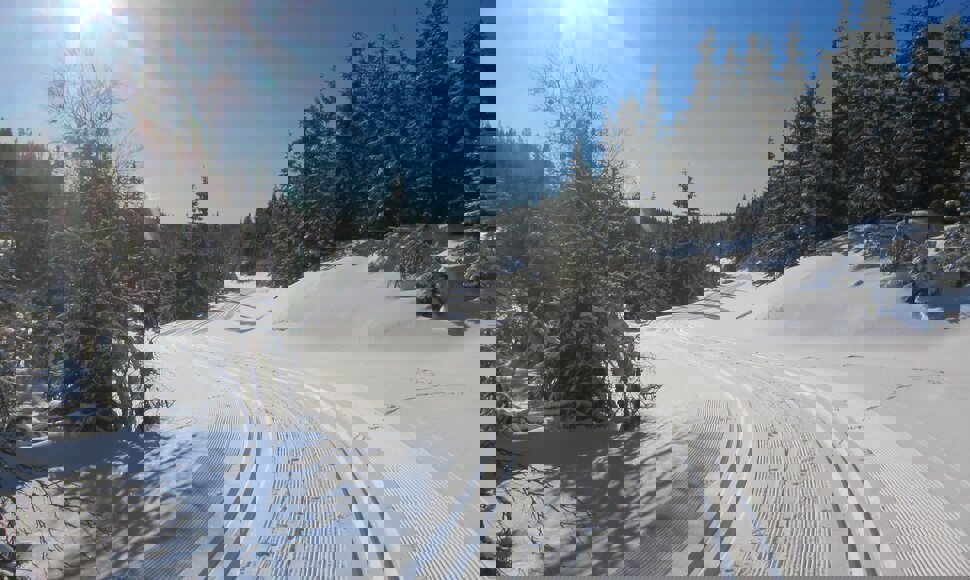 Solfylt vinterdag på Totenåsen